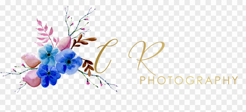 Party Floral Design Photography Graphic Designer PNG