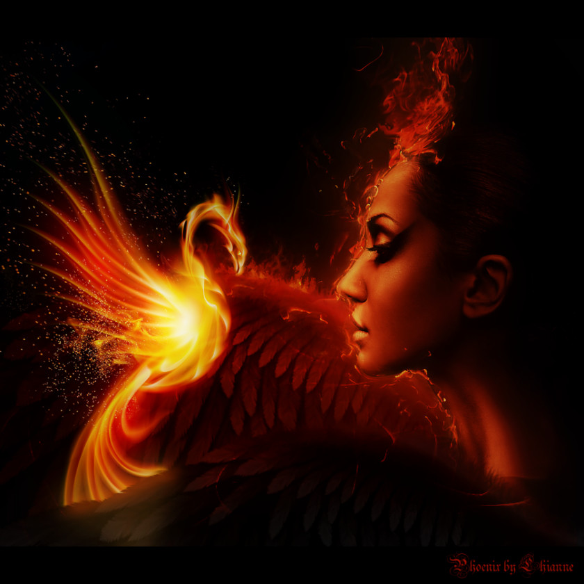 Phoenix DeviantArt Work Of Art YouTube PNG