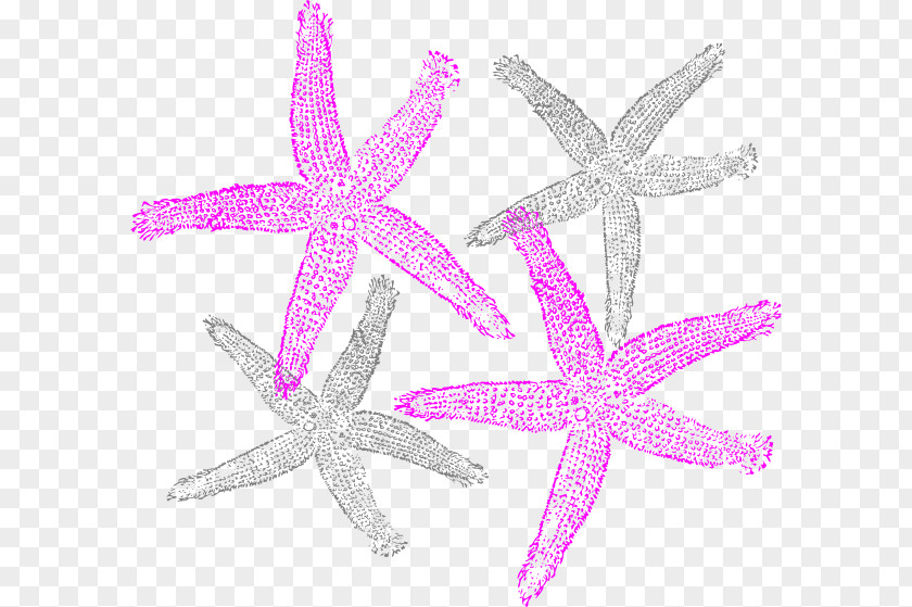 Starfish Clip Art PNG