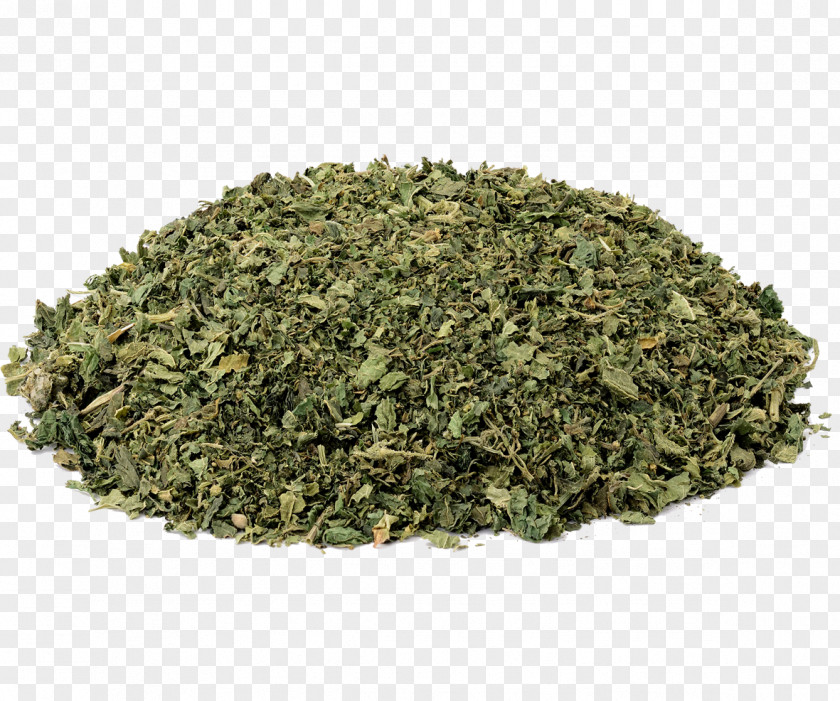 Tea Green Food Drying Herb Peppermint PNG