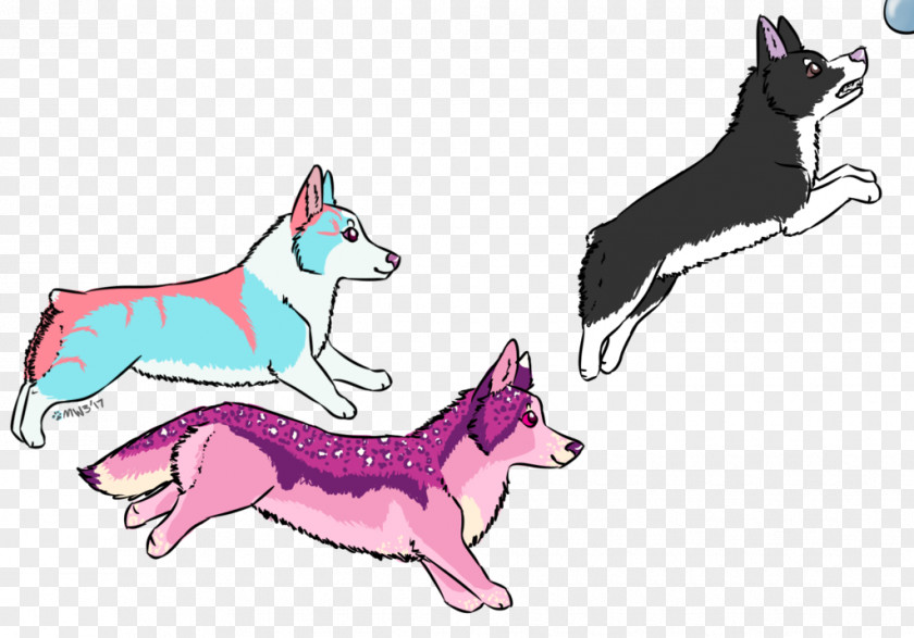 Wolf Corgi Dog Breed Cat Illustration Cartoon PNG