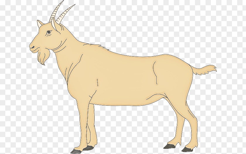 Antelope Wildlife Cow-goat Family Oryx Animal Figure PNG