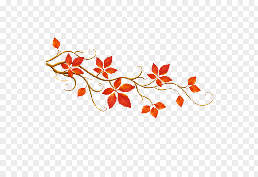 Autumn Leaf Color Clip Art PNG