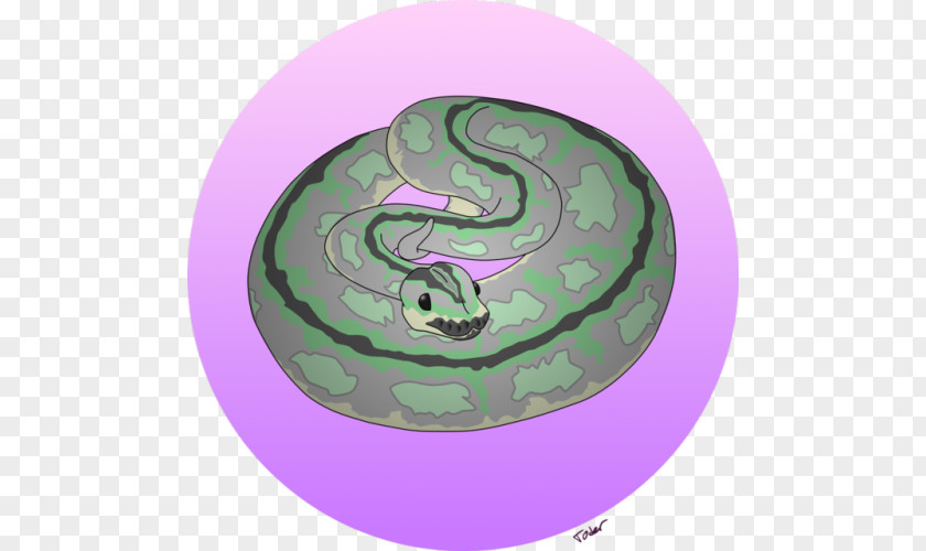 Ball Python Spiral Circle Pattern PNG