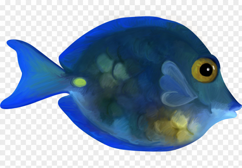 Blue Fish Adobe Photoshop RGB Color Model PNG