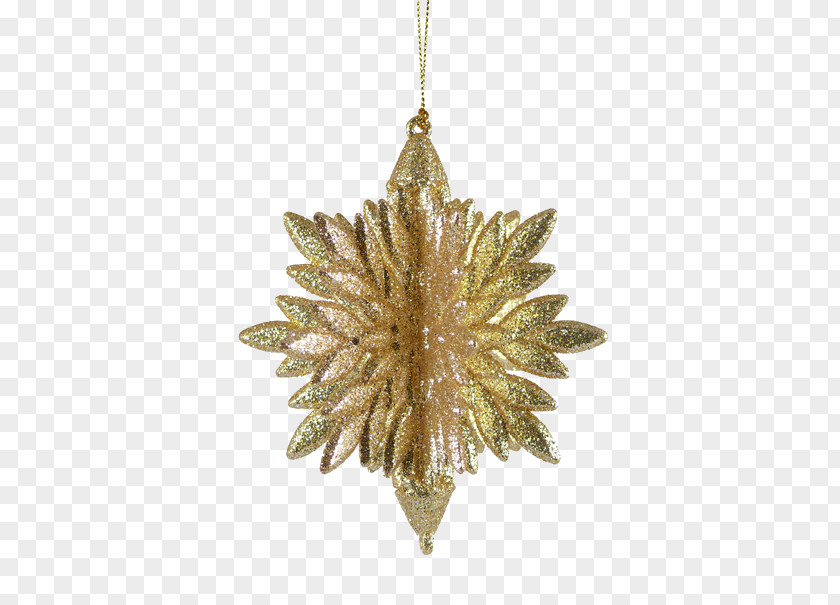Jewellery Christmas Ornament Pine PNG