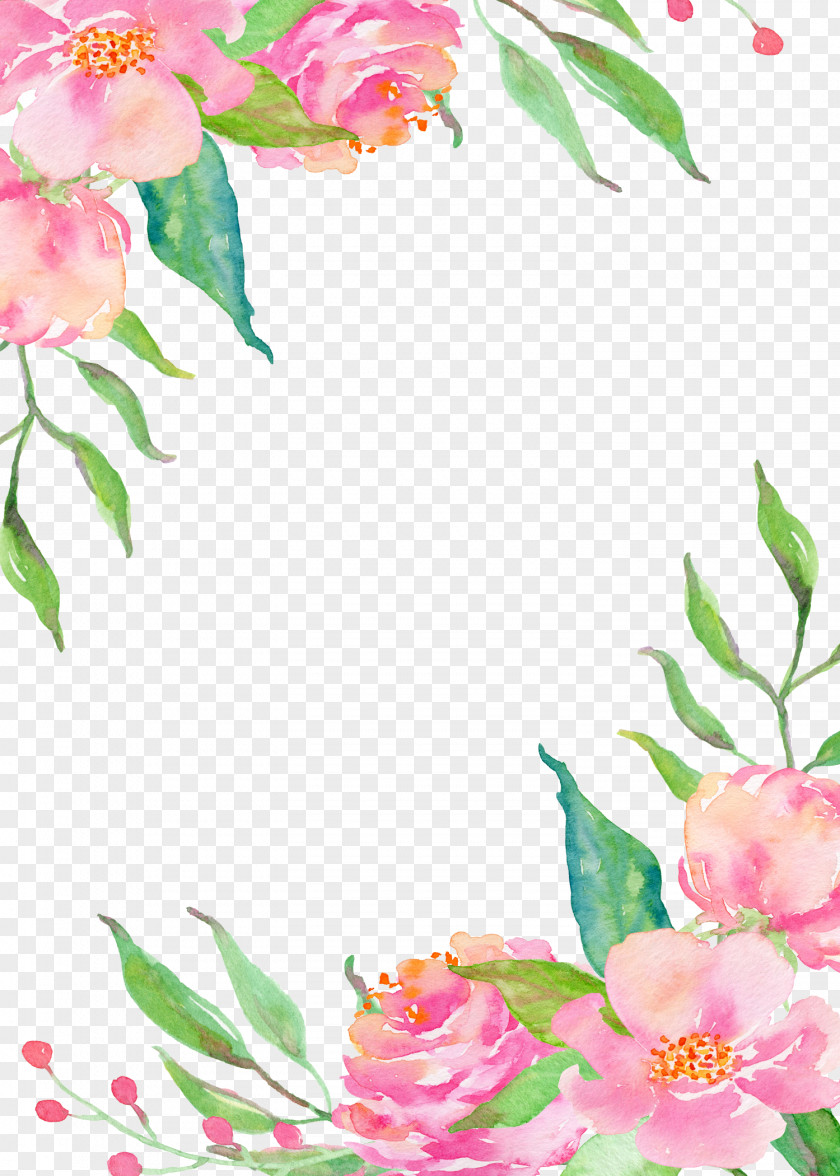 Pink Flower Borders PNG