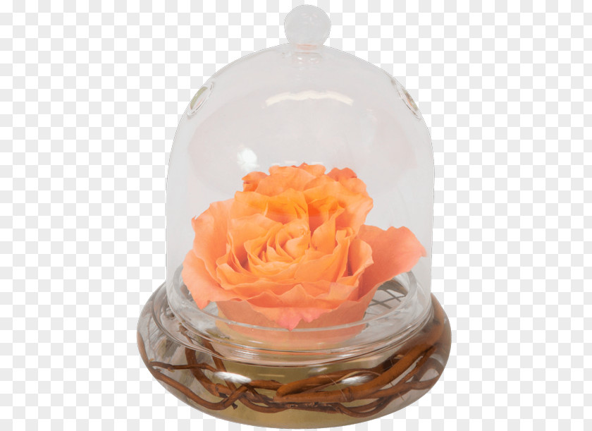 Rose Flower Bouquet Boutonnière Vase PNG