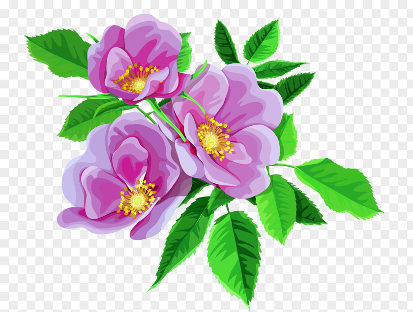 Rose Garden Roses Flower Bouquet Clip Art PNG