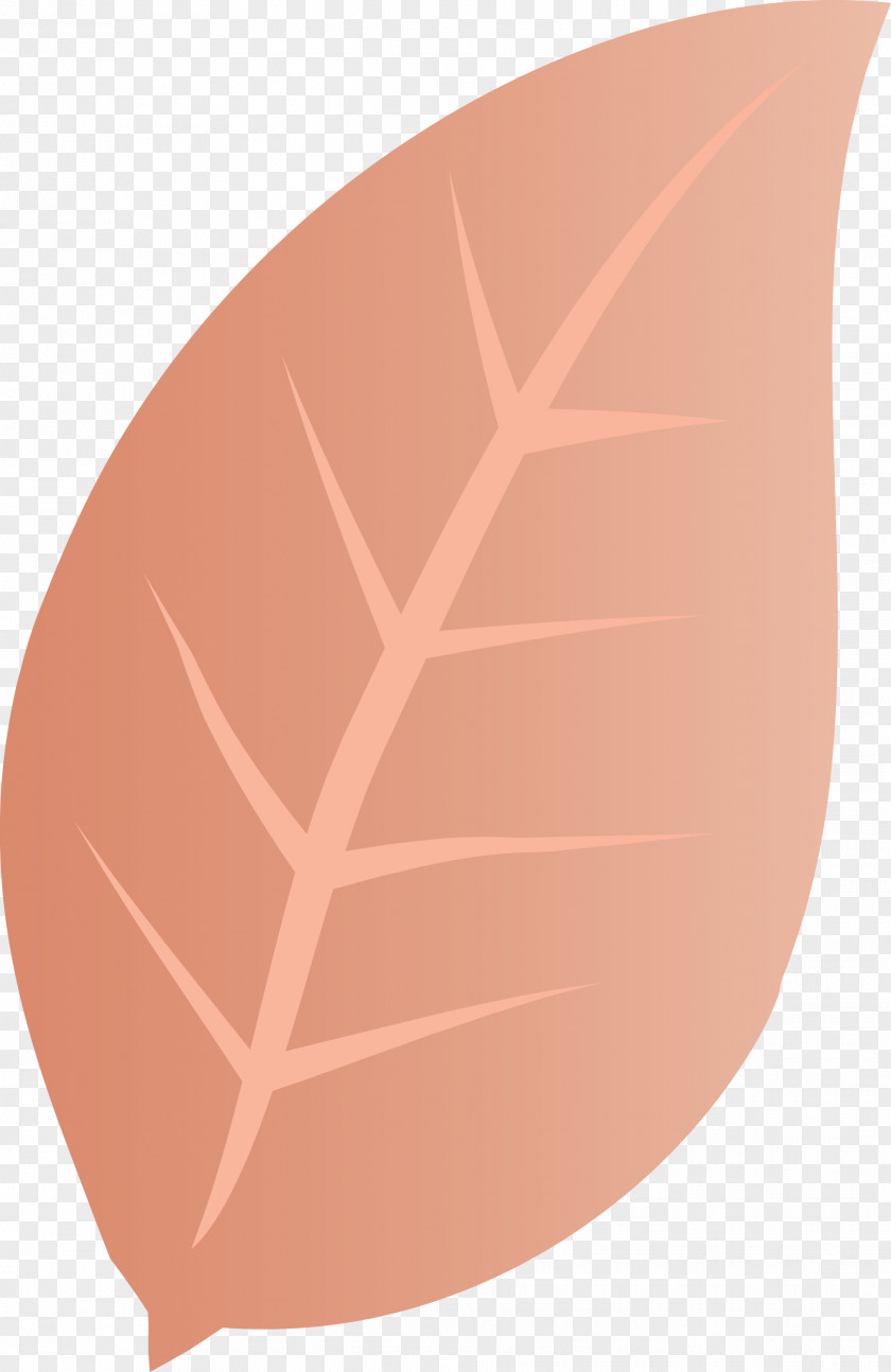 Leaf Angle Line Font Peach PNG