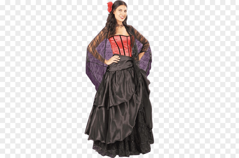 Noble Lace Overskirt Dress Clothing Costume PNG