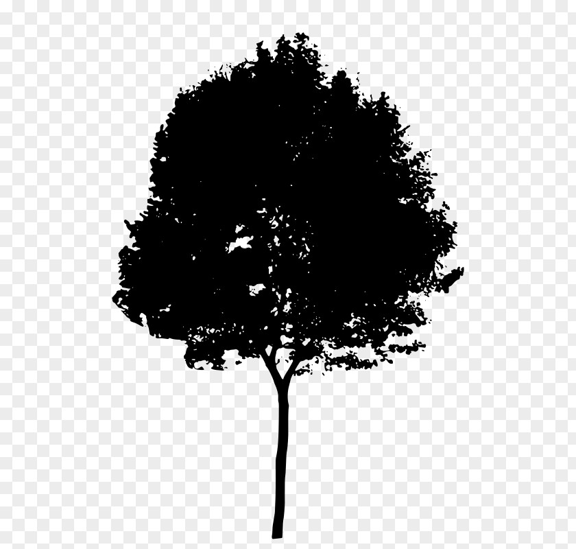 Silhouette Of Tree Clip Art PNG