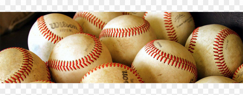 Baseball League Baltimore Orioles Sports Softball Desktop Wallpaper PNG