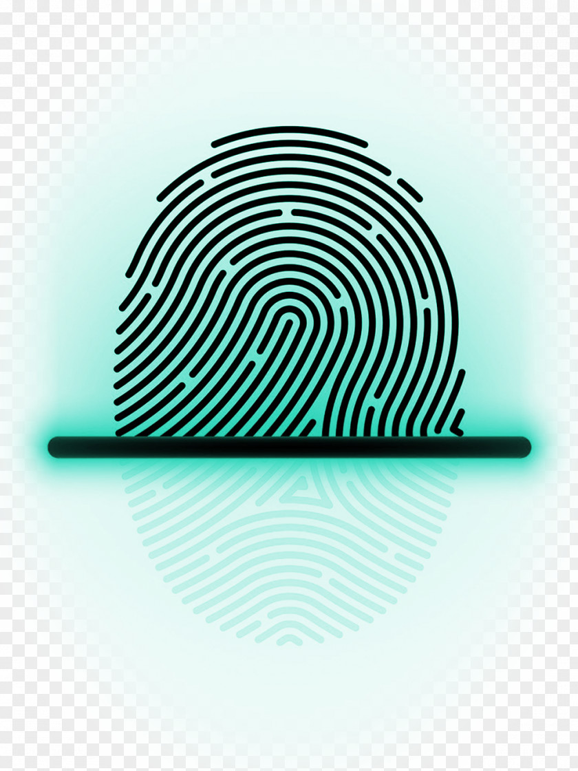 Biometric Screening Fingerprint Scanner Smartphone Image Touchscreen PNG