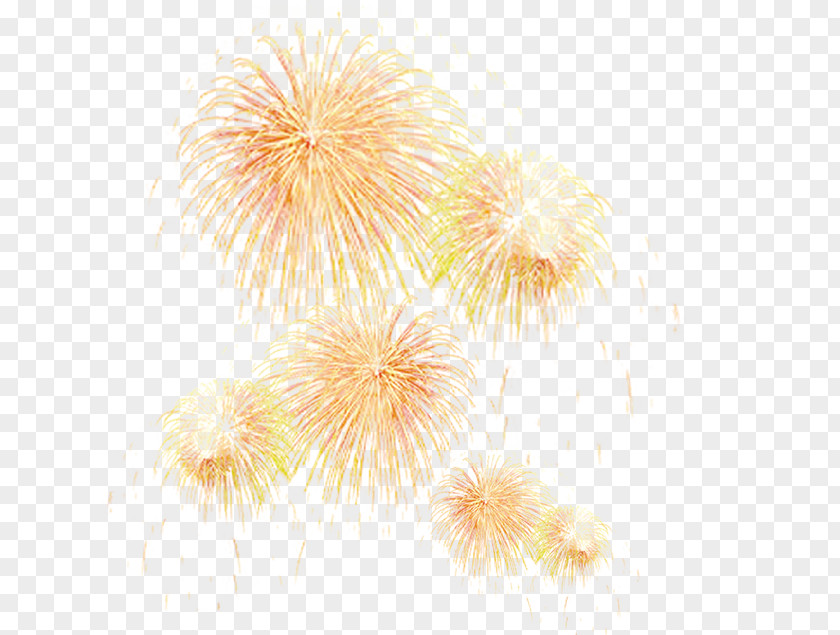 Fireworks Firecracker Design Image PNG
