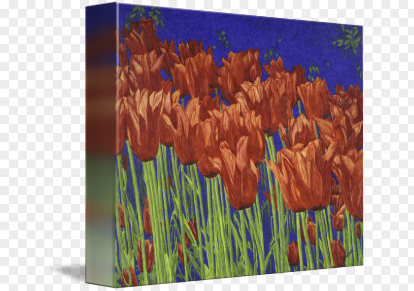 Flower Art Tulip PNG