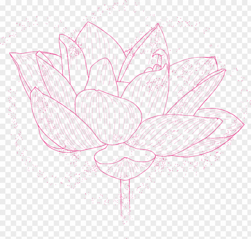 Rose Family Sketch Illustration Floral Design PNG