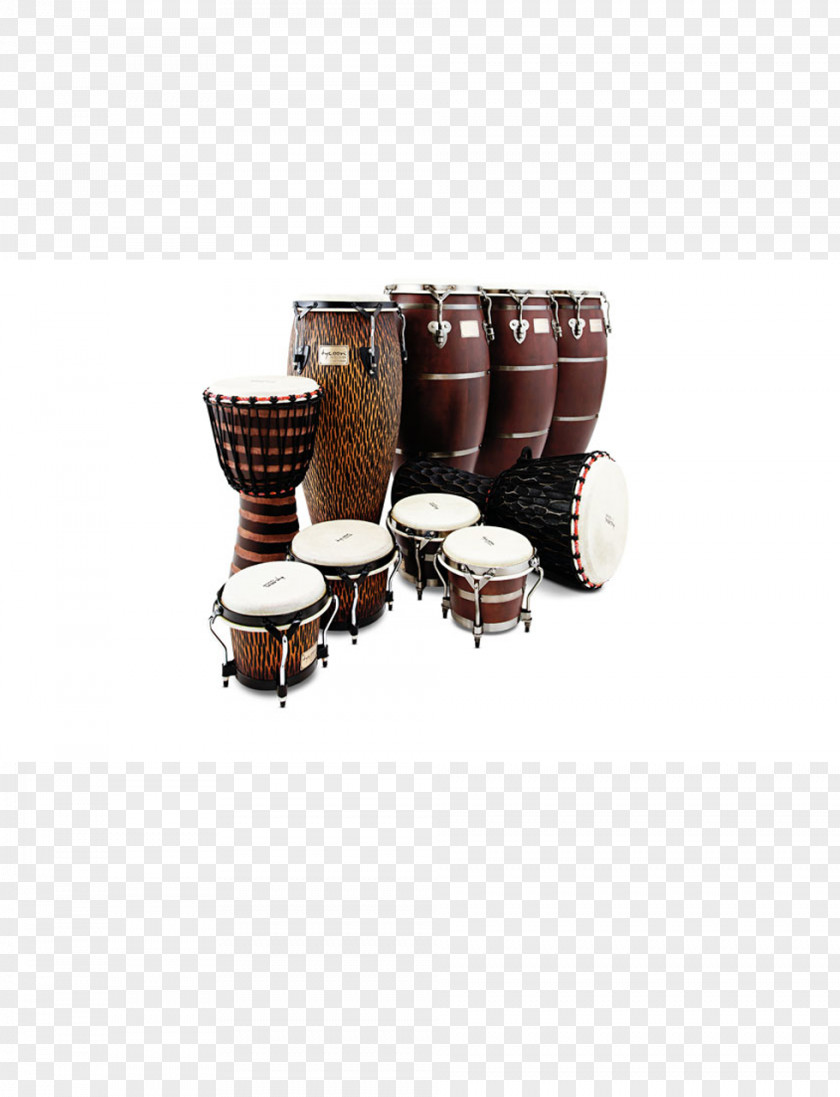 Drum Tom-Toms Hand Drums Percussion Bongo PNG