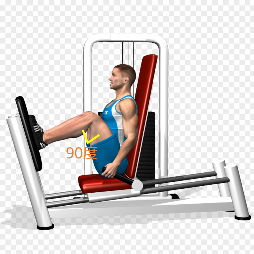 Leg Press Exercise Quadriceps Femoris Muscle Squat PNG press femoris muscle Squat, others clipart PNG