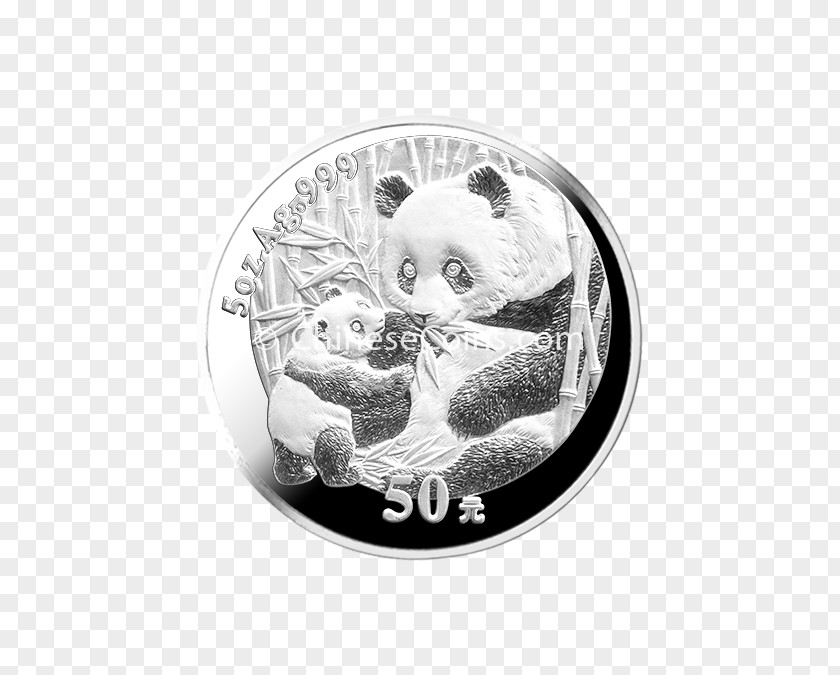 Silver Coin PNG