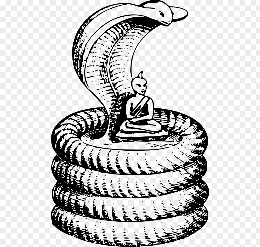 Snake Cobra Clip Art PNG