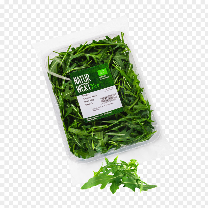 Vegetable Leaf Organic Food Herb Vitamin PNG