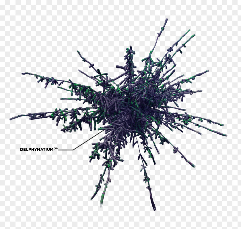 BEHANCE Rendering Cinema 4D Thistle PNG