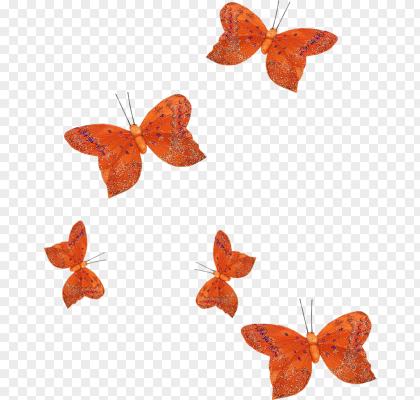 Color Flower Orange PNG