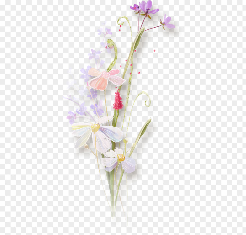 Desktop Wallpaper Afrikaans Flower Clip Art PNG