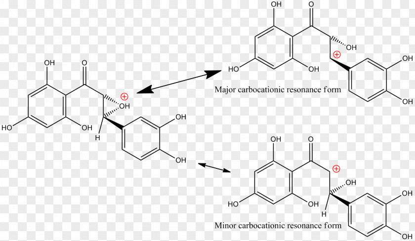 Foreman Epoxide Diethyl Ether Chemistry Ring-opening Polymerization PNG