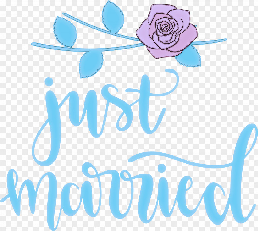 Just Married Wedding PNG