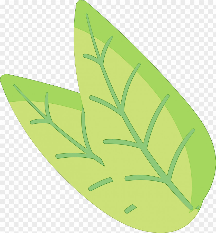 Leaf Font Vegetable Green Butterflies PNG