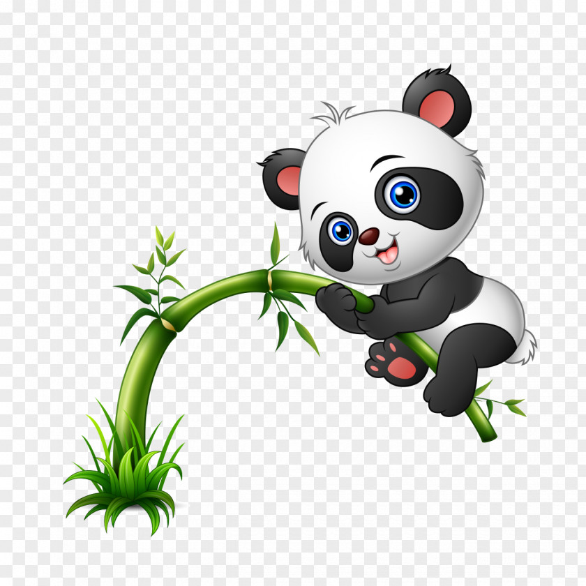 Panda Black Background Giant Bear Vector Graphics Stock Photography Cuteness PNG