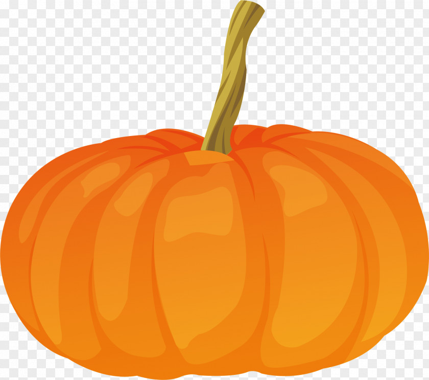 Pumpkin Png Vector Element Jack-o'-lantern Calabaza Gourd PNG