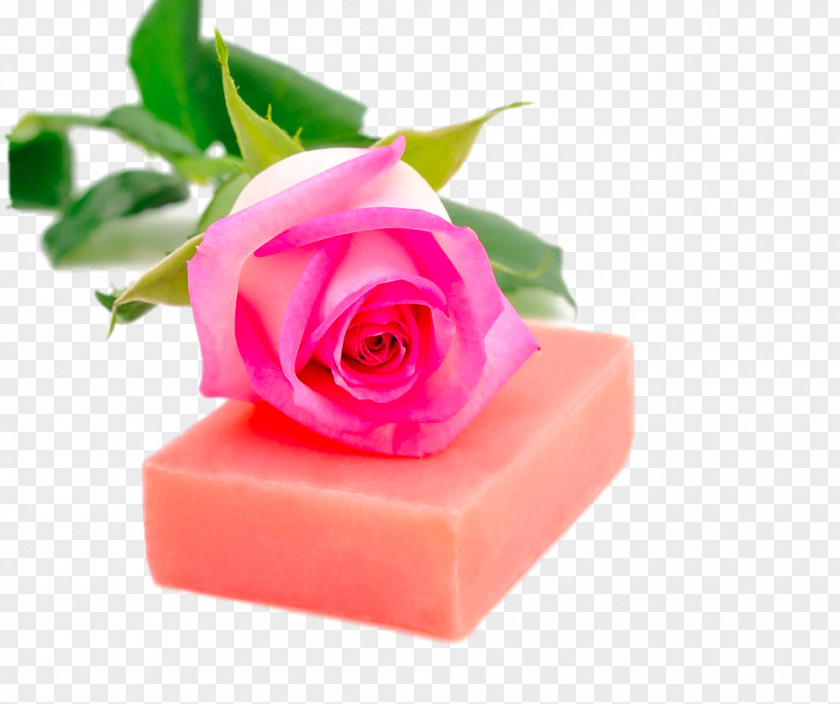 Rose Soap Cosmetics Flavor Flower PNG