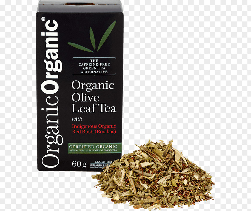 Tea Nilgiri Hōjicha Olive Leaf PNG