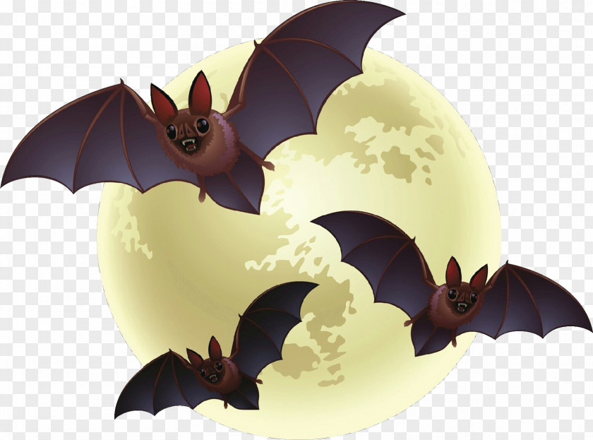 Animation Dragon PNG