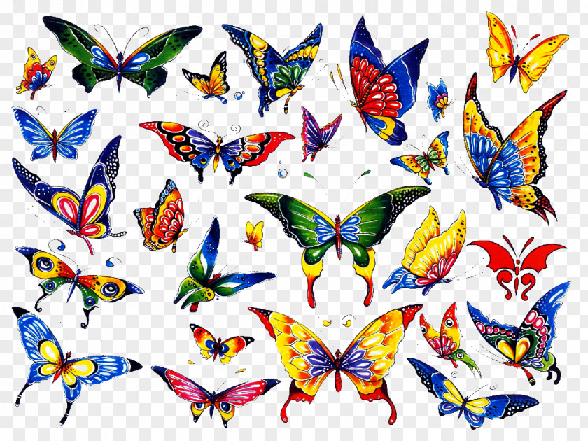 Cartoon Butterfly Tattoos Tattoo Color Clip Art PNG