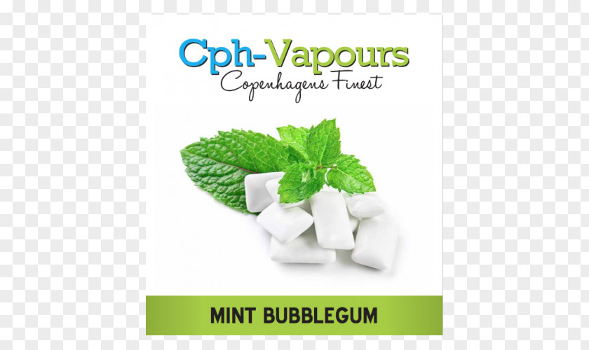 Chewing Gum Peppermint Mentha Spicata Bubble PNG
