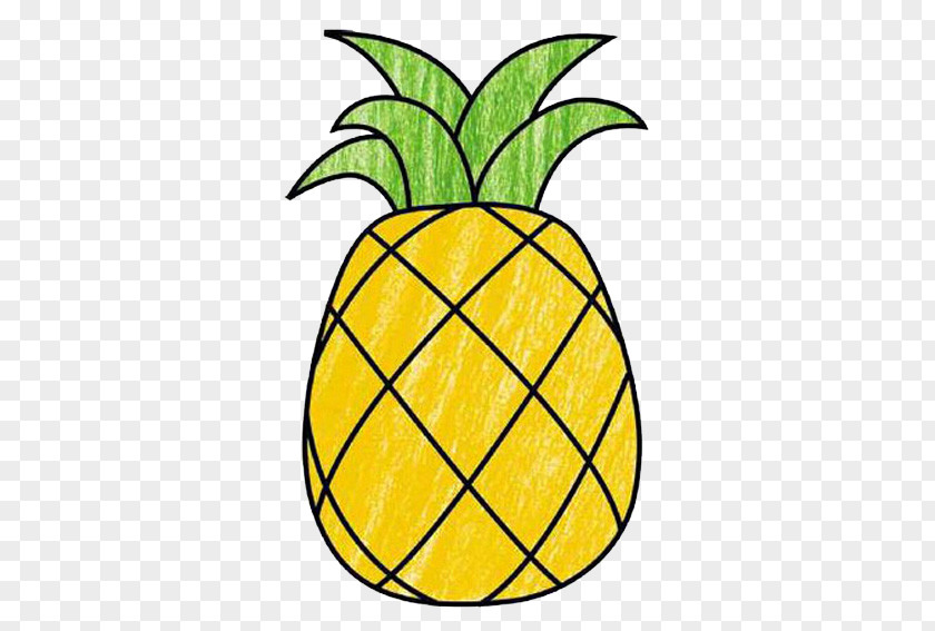 Pineapple Fruit Stroke Food Auglis PNG