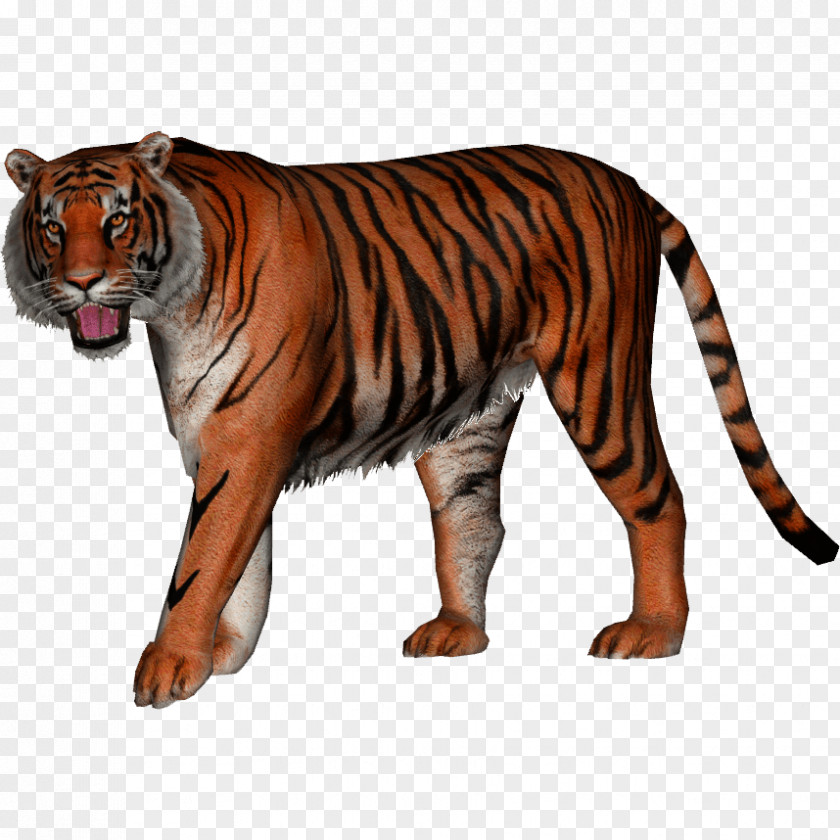 Tiger Jaguar Felidae Bengal Javan Siberian PNG