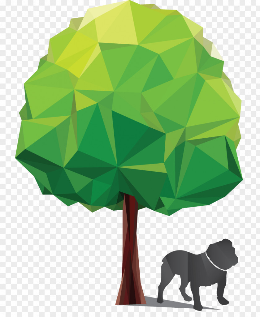 Tree Think Studios Project PNG
