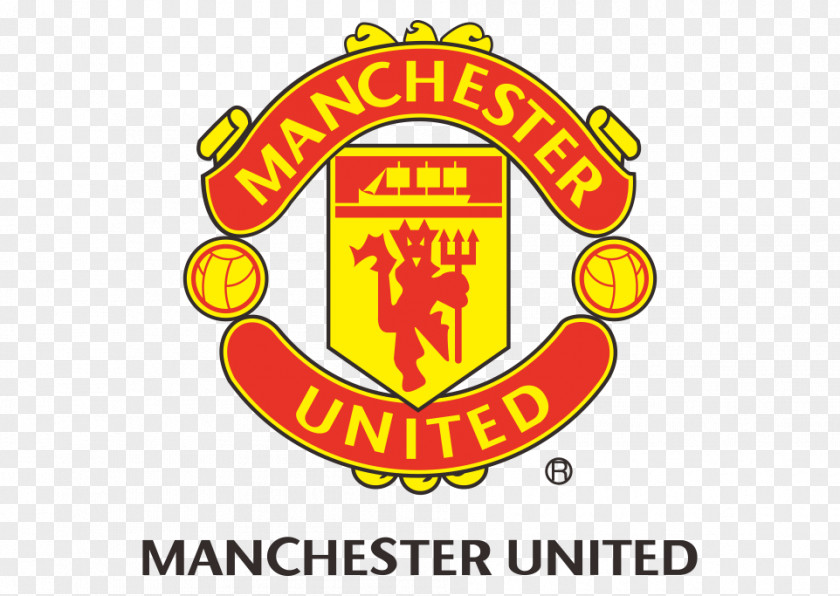United Vector PNG