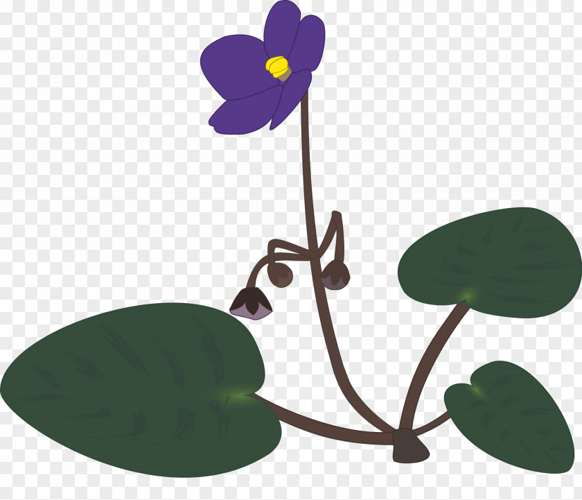 Violet African Violets Clip Art PNG