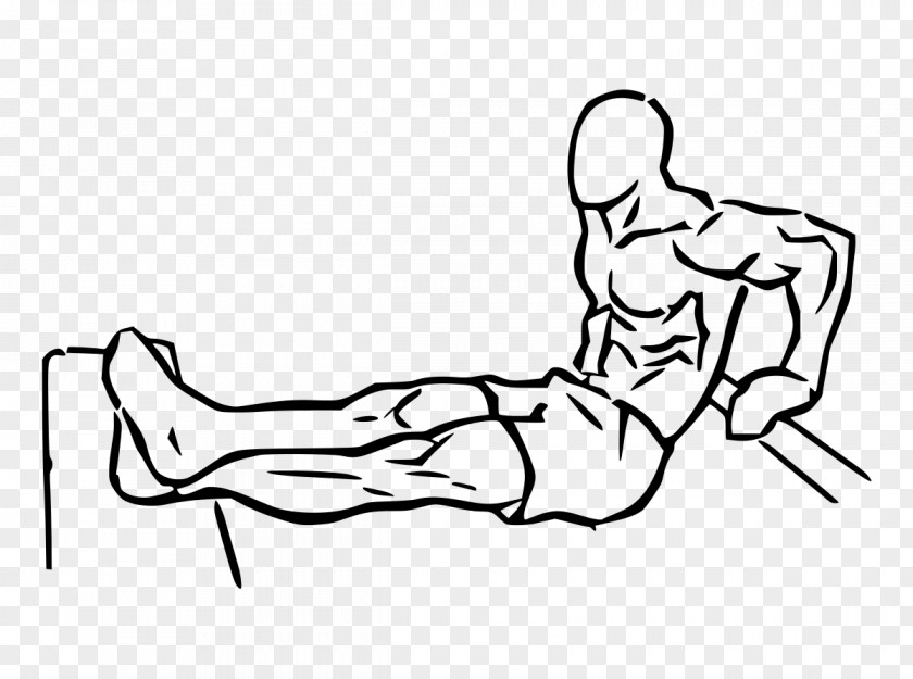 Arm Dip Push-up Exercise Pectoralis Major Triceps Brachii Muscle PNG