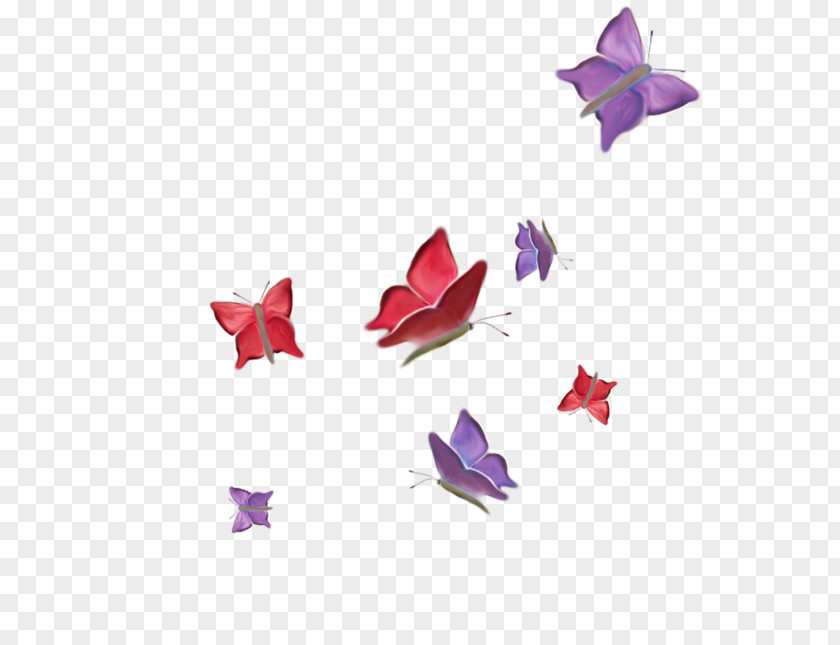 Butterfly In A Flower Drawing PNG