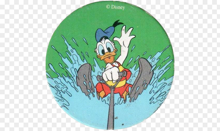 Donald Duck Daffy Water Skiing Cartoon PNG