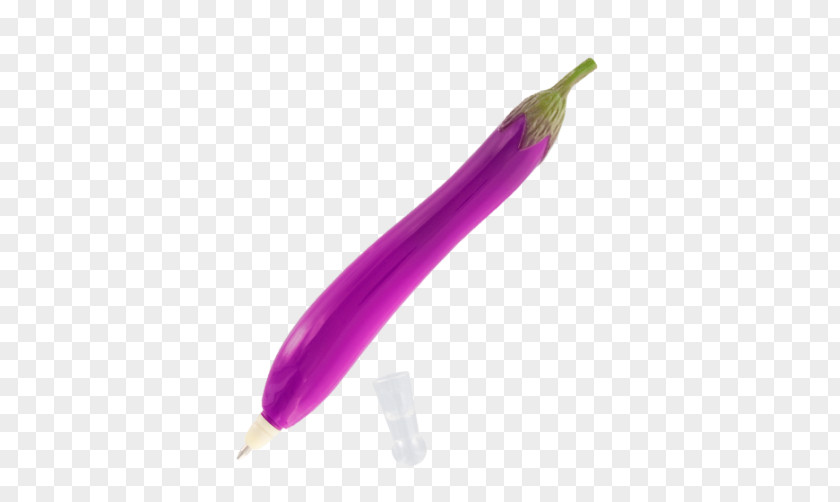 Expression Eggplant Purple Pen PNG