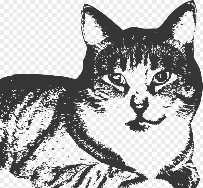 T-shirt Zazzle Cat Sticker Kitten PNG