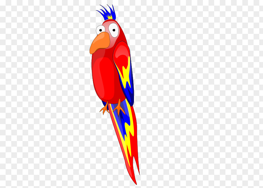True Macaws Macaw Parrot Clip Art PNG